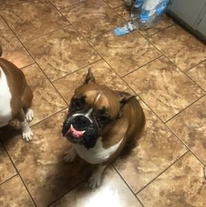 Meet your Posher, Jim